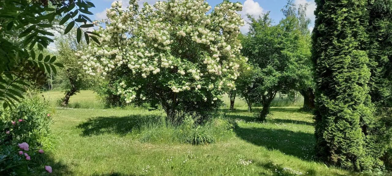 Dom Goscinny Lerka - 240 M2 Mazury Jeziora Lasy Lakorz ภายนอก รูปภาพ