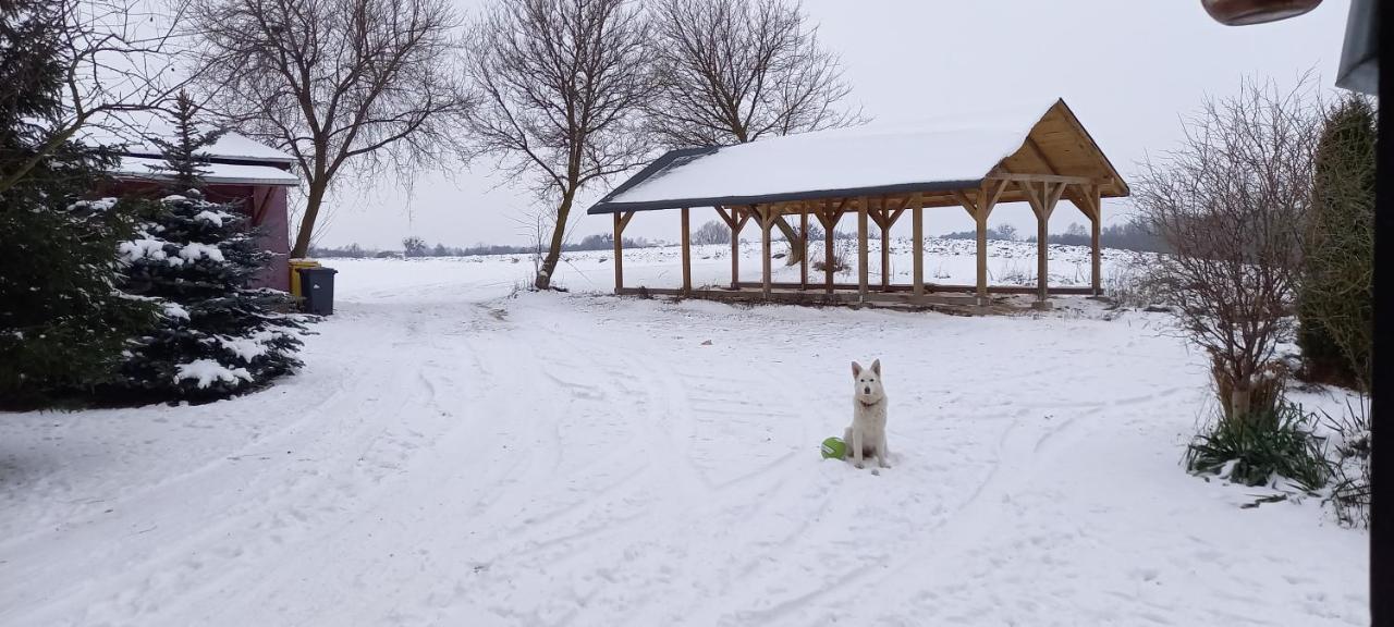 Dom Goscinny Lerka - 240 M2 Mazury Jeziora Lasy Lakorz ภายนอก รูปภาพ