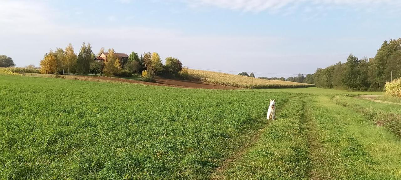 Dom Goscinny Lerka - 240 M2 Mazury Jeziora Lasy Lakorz ภายนอก รูปภาพ